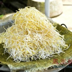 初秋食绿豆芽可除体内热毒 这样吃功效加倍