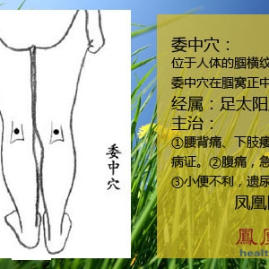 常“搓”这五处 让男人永葆精力(图)
