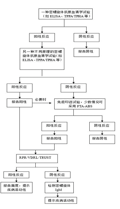 梅毒螺旋体抗体检测