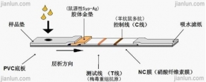 推动POCT发展的各种技术：胶体金