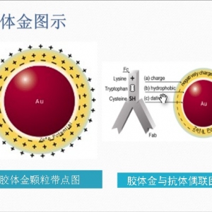 推动POCT发展的各种技术：金标