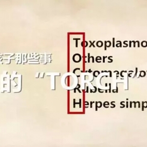 怀孕生孩子那些事之混乱的“TORCH”检查