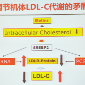 [CHC2015]李建军：胆固醇——昨天、今天与明天