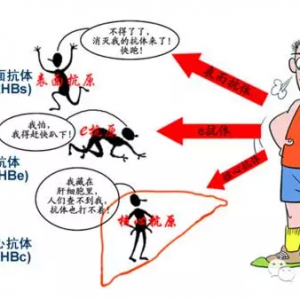 乙肝五项指标都有什么意义？