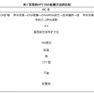 国内HPV DNA检测的常见方法比较