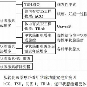 从另一个角度看内分泌代谢疾病临床诊断思路