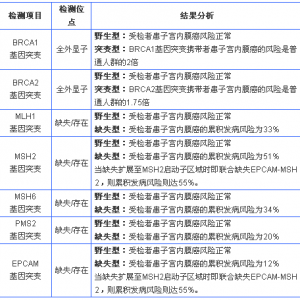 遗传性子宫内膜癌基因检测