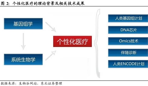 关于个性化医疗的全面解读