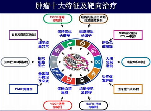 王风华:基于“分子靶点的生物标志物”成为结直肠癌研究新模式
