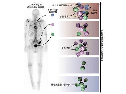 肿瘤克隆的临床应用价值