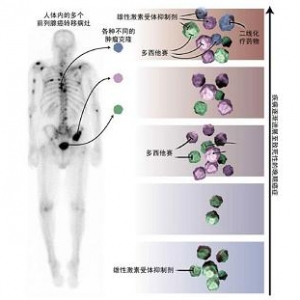 肿瘤克隆的临床应用价值