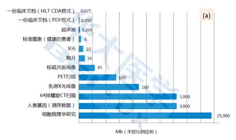 医学未来百年一瞥