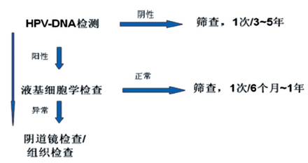 最有效的宫颈癌筛查方案——就是采用最准确的方法和尽可能最长的筛查间隔