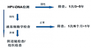 最有效的宫颈癌筛查方案——就是采用最准确的方法和尽可能最长的筛查间隔 ... ...