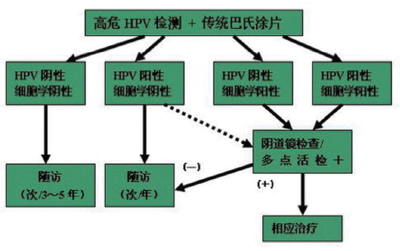 最有效的宫颈癌筛查方案——就是采用最准确的方法和尽可能最长的筛查间隔