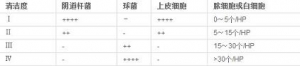 阴道分泌物常规镜检图片