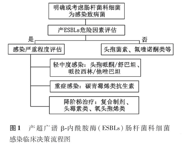 20140728.jpg
