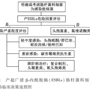 中国产超广谱β