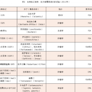 浅谈伴随诊断