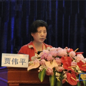 [PUDF2014]贾伟平：动态血糖监测研究新进展的中国证据