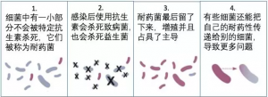 抗生素和耐药菌：你所不知道的战争