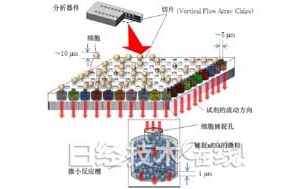 日立开发小型芯片，以细胞为单位进行基因分析