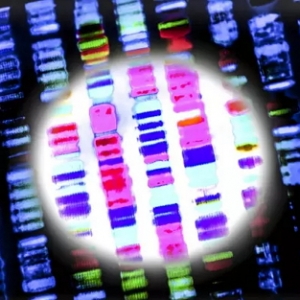 医疗行业投资新趋势：为孕妇和癌症患者定制的“精准医疗”正崛起 ... ...