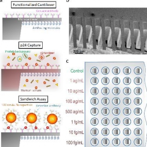 PLoS ONE：史上最快的HIV检测方法