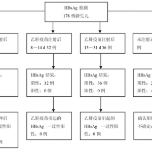 乙肝疫苗接种后新生儿乙型肝炎表面抗原一过性阳性的研究