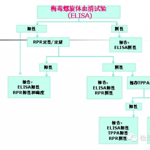 梅毒抗体和滴度检测在梅毒诊断和治疗中的应用
