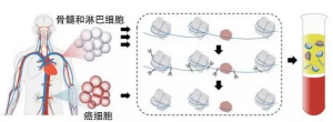 液体活检中又添新成员cfDNA