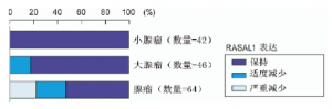 第一个人类癌基因的发现——Ras