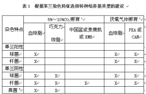 临床微生物学血培养操作规范
