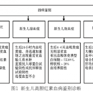 葡萄糖