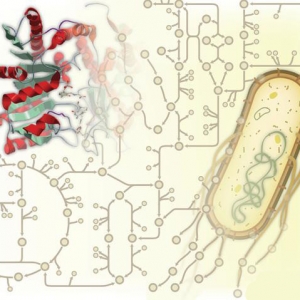 Science新成果挑战教科书：大量酶具有多重功能