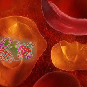 研究发现镰状红细胞miRNA参与疟原虫基因调控