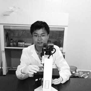 美荷等科研团队历时15年成功追捕癌症干细胞