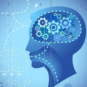 科学家发现智慧基因 排列方式可直接影响人智商