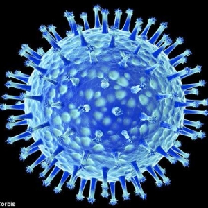 科学家培育禽流感病毒变异体可通过咳嗽传播