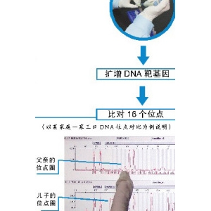 记者揭秘DNA亲子鉴定：70、80后是主力军(图)