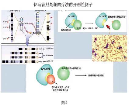 伴随诊断及其对检验医学的影响