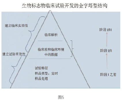 伴随诊断及其对检验医学的影响