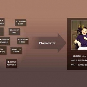 表型组学与个体基因组学解析