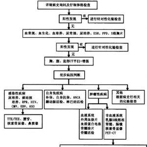 不明原因发热的诊疗体会