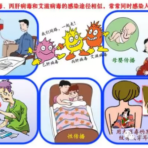 丙型肝炎是如何传播的？