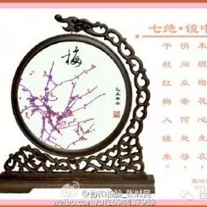张时民：【镜中梅】之月下霉花