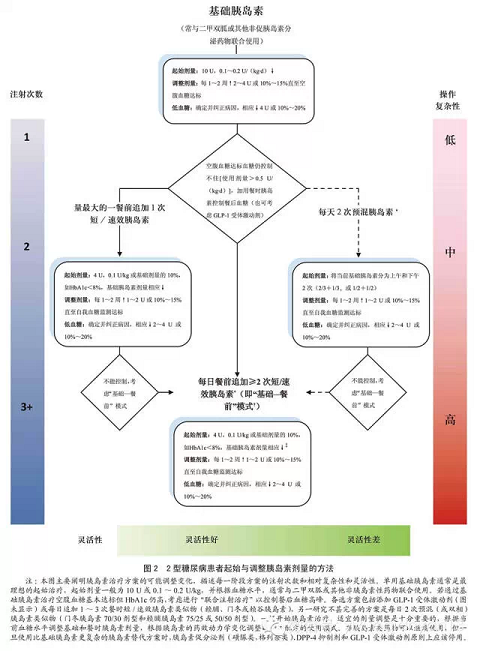 专家解读2015ADA/EASD高血糖管理立场声明