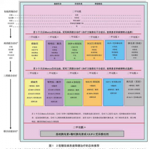 专家解读2015ADA/EASD高血糖管理立场声明