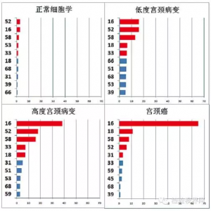 中国前5大HPV感染型别分析