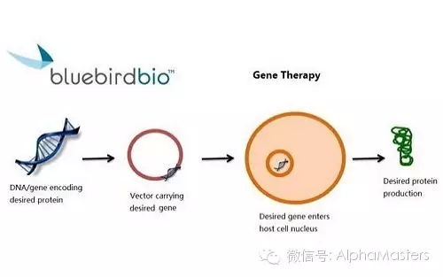 一个大咖在个性化医疗领域的投资心得